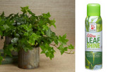 DM * Ultra Leaf Shine 13.5oz