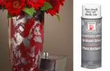 DM * Colortool Spray Brilliant Silver