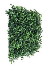 AG *  Boxwood Mat 10"x 10" Green