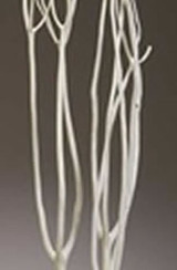 KN * Mitsumata Branch 4ft Bleached