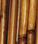KN * River Cane 3.5ft Walnut
