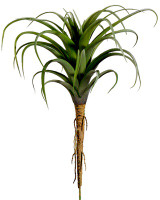 AS *  Tillandsia 8.5" Green