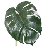 NIC *  Split Philo Leaf 28" Green