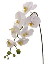 AS *  28.5" Phalaenopsis Spray White