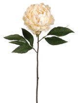 AS *  18.5" Peony Spray TT Beige