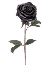 AS *  21.5" Rose Spray Black 