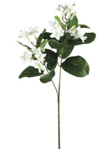AS *  20.5" Staphanotis x2 White