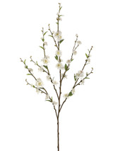 AS *  39" Plum Blossom Sprx5 White