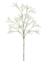AS *  26" Gypsophila Spray White