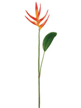 AS *  32" Mini Heliconia Orange