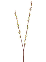 AS *  36" Pussy Willow Spray Green