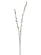 AS *  36" Pussy Willow Spray Gray