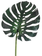 AS *  16" Monstera Leaf Green