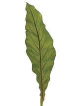 AS *  19" Bird's Nest Fern Leaf Grn