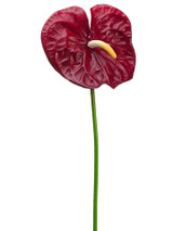AS *  27" Lg Anthurium Spr Red