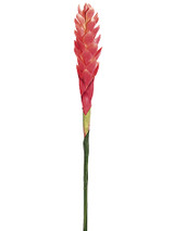 AS *  30" Hawaiian Ginger Pink