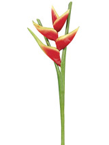 AS *  34" Heliconia Spray Red