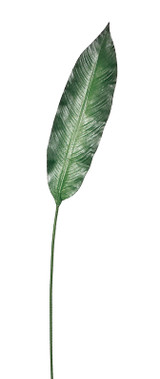 AS *  38" Bird of Paradise Leaf 