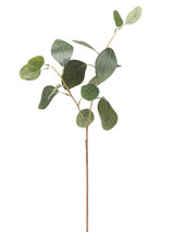 AS *  18" Eucalyptus Leaf Green