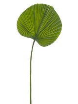 AS *  24.5" Fan Palm Leaf Green