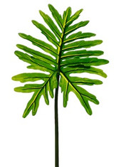 AS *  36" Selloum Leaf Spray Green