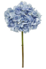 WIN *  Hydrangea 19" Light Blue