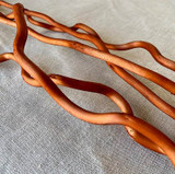 KN * Corkscrew Willow x5 B.Oak