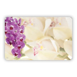 NS Cymbidium Orchid * D88-SP0318