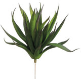 AS *  6" Soft Agave Bush Green