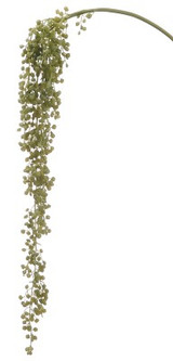 AS *  30" Succulent Spray Green