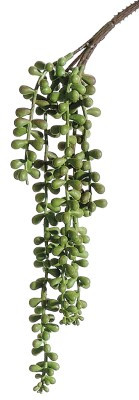 AS *  13" String of Pearls Spray