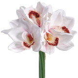 AS *  12" Bouquet Cymbidium White