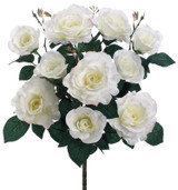 AS *  18" Rose Bush x10 White