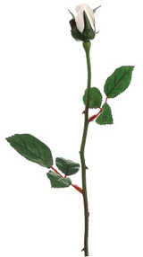AS *  23" Rose Bud x1 Cream