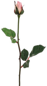 AS *  23" Rose Bud x1 Pink