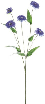 AS *  26" Cornflower Spray Blue
