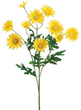 AS *  24" Daisy Spray Yellow