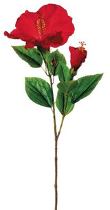 AS *  26" Hibiscus Red