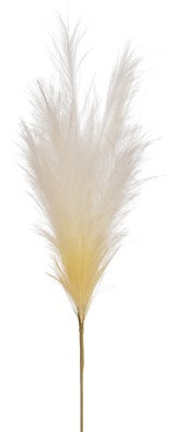 AS *  28" Plume Spray Two Tone Cream