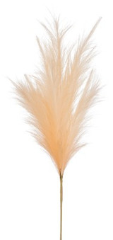 AS *  28" Plume Spray Peach