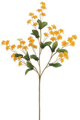 AS *  19" Baby's Breath Gold