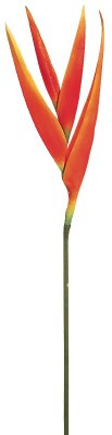 AS *  33" Tropical Heliconia Spry OR