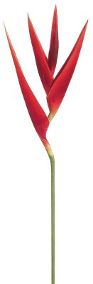 AS *  33" Tropical Heliconia Spry RD