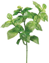 AS *  9" Basil Bush Green