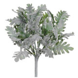 AS *  9.5" Dusty Miller Bush GR/GY