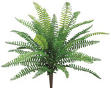 AS *  19" UV Boston Fern Bush Green
