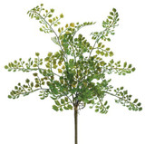AS *  15" Lace Fern Bush Green