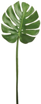 AS *  38" Monstera Leaf Spray Green