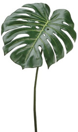 AS *  23.5" Philodendron Spray Green