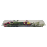 CW * Box Large Dozen Rose Box Clear